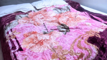 Adolescent arabe et homme saoudien