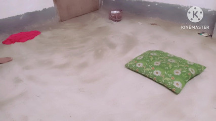 Big Penic Grande terre Terre pakistanaise Terre bangladaise Grande et petite terre Terre noire