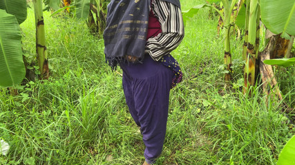 J'ai emmené ma voisine dans la plantation de bananes, je l'ai serrée dans mes bras et j'ai commencé à baiser