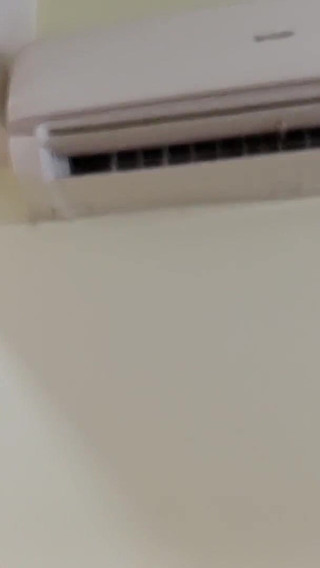 Les vrais amoureux indiens font l'amour passionné