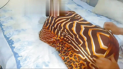 Vous y êtes entré en entier en tant que vous sur le Hawa