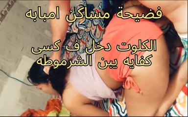 L'Egypte est une pute, à l'aube, oh, je le jure, Ahmed